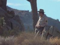 Click to watch 'Portrait of a Dead Girl...' (popup) McCloud